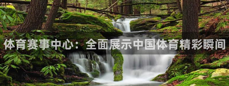 体育赛事中心：全面展示中国体育精彩瞬间