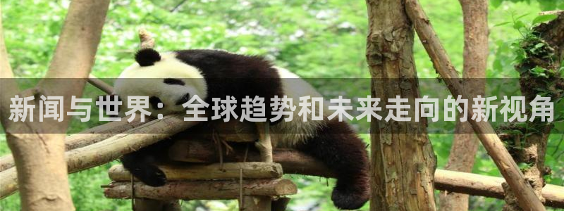 新闻与世界：全球趋势和未来走向的新视角