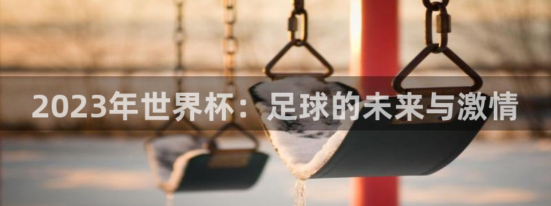 2023年世界杯：足球的未来与激情